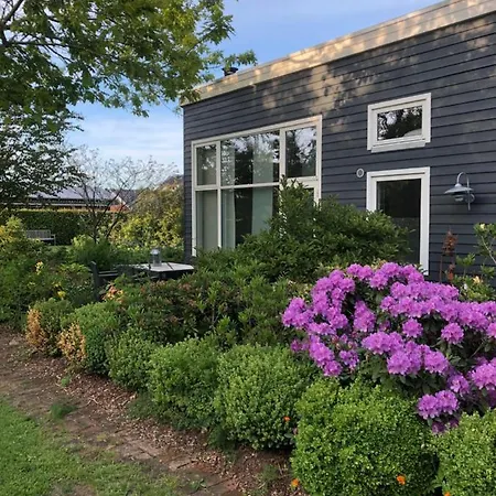 ベッド・アンド・ブレックファスト Fly