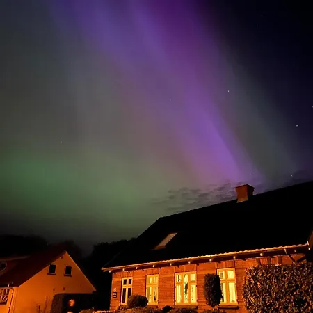 Fly 住宿加早餐酒店 3*